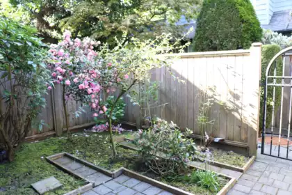 Outdoor Kitchen Photo of 3 7833 St. Albans Road, Richmond, BC