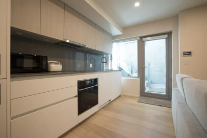 Basement Recreation Room Photo of 1076 Park Drive, Vancouver, BC