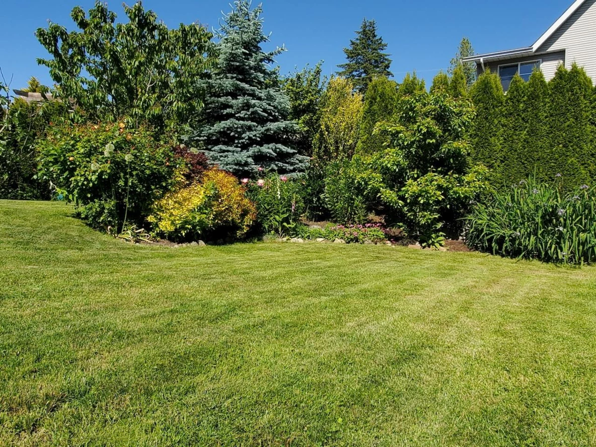 Backyard Photo of 6270 Homestead Avenue, Sechelt, BC