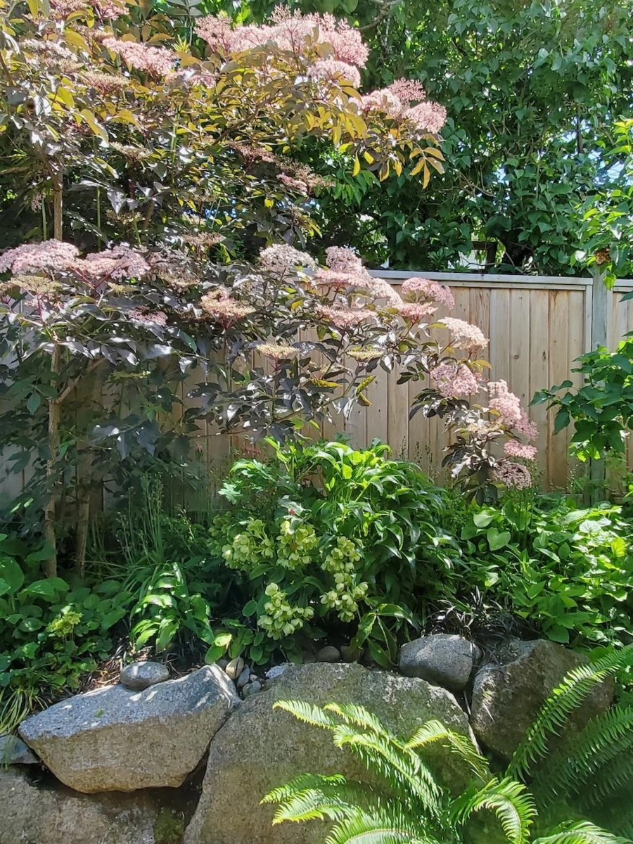 Outdoor Deck Photo of 6270 Homestead Avenue, Sechelt, BC