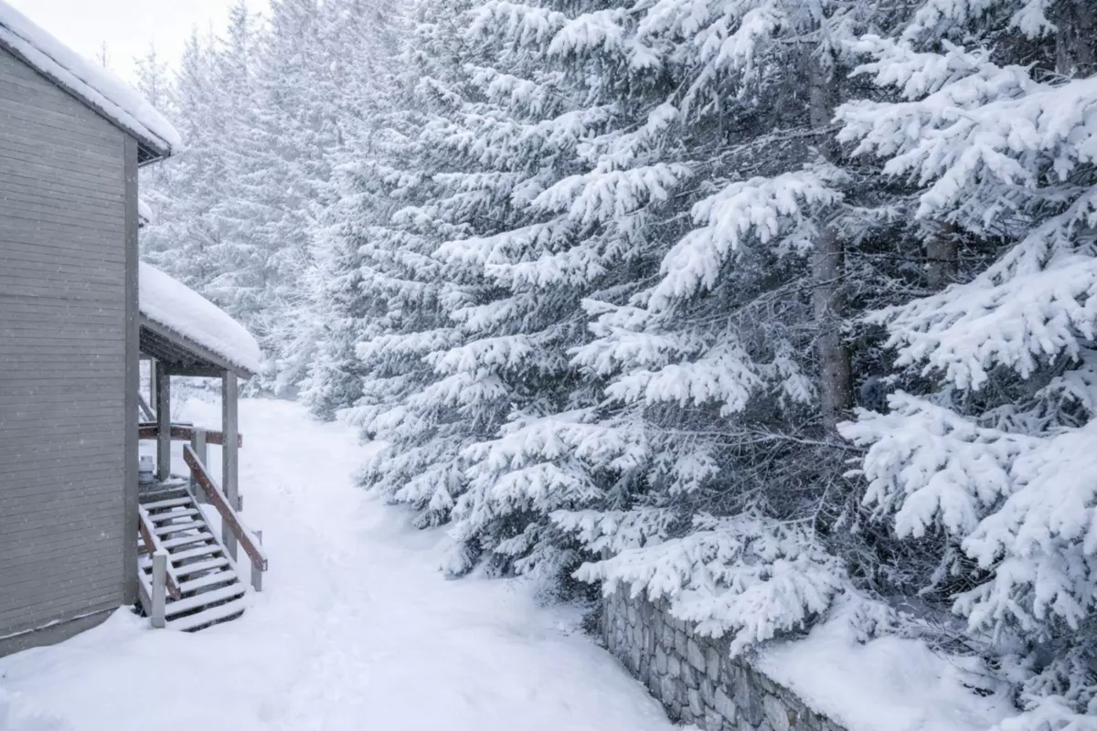Primary Bedroom Photo of 423 4200 Whistler Way, Whistler, BC