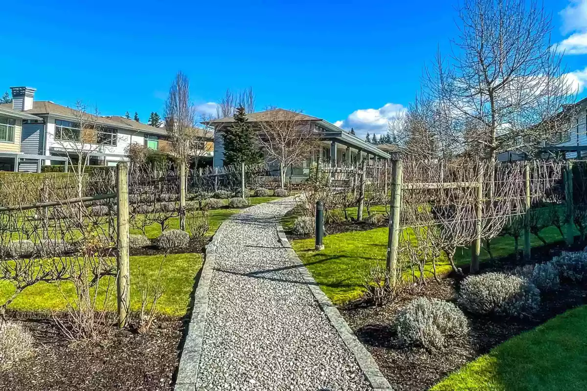 Neighborhood Park Photo Near 38 2603 162 Street, Surrey, BC
