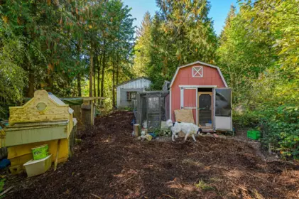 Backyard Photo of 50802 Winona Road, Chilliwack, BC