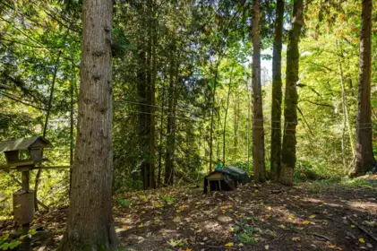 Garden / Landscaping Photo of 50802 Winona Road, Chilliwack, BC