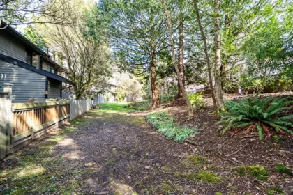 Outdoor Kitchen Photo of 3416 Nairn Avenue, Vancouver, BC