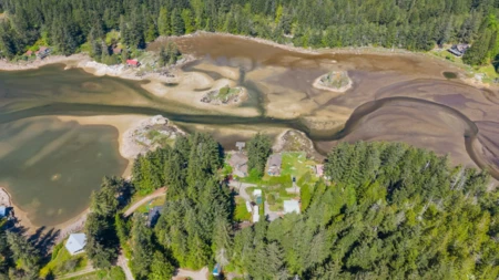 Aerial View of 13262 Porters Road, Madeira Park, BC