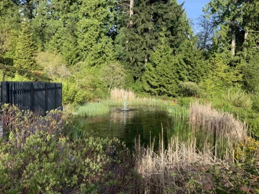 Swimming Pool Photo of PH2 2245 Twin Creek Place, West Vancouver, BC