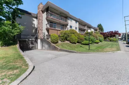 Backyard Photo of 212 2381 Bury Avenue, Port Coquitlam, BC