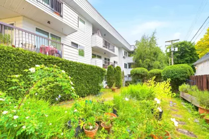 Front Yard Photo of 317 3353 Heather Street, Vancouver, BC