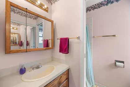 Powder Room Photo of 9507 204b Street, Langley, BC