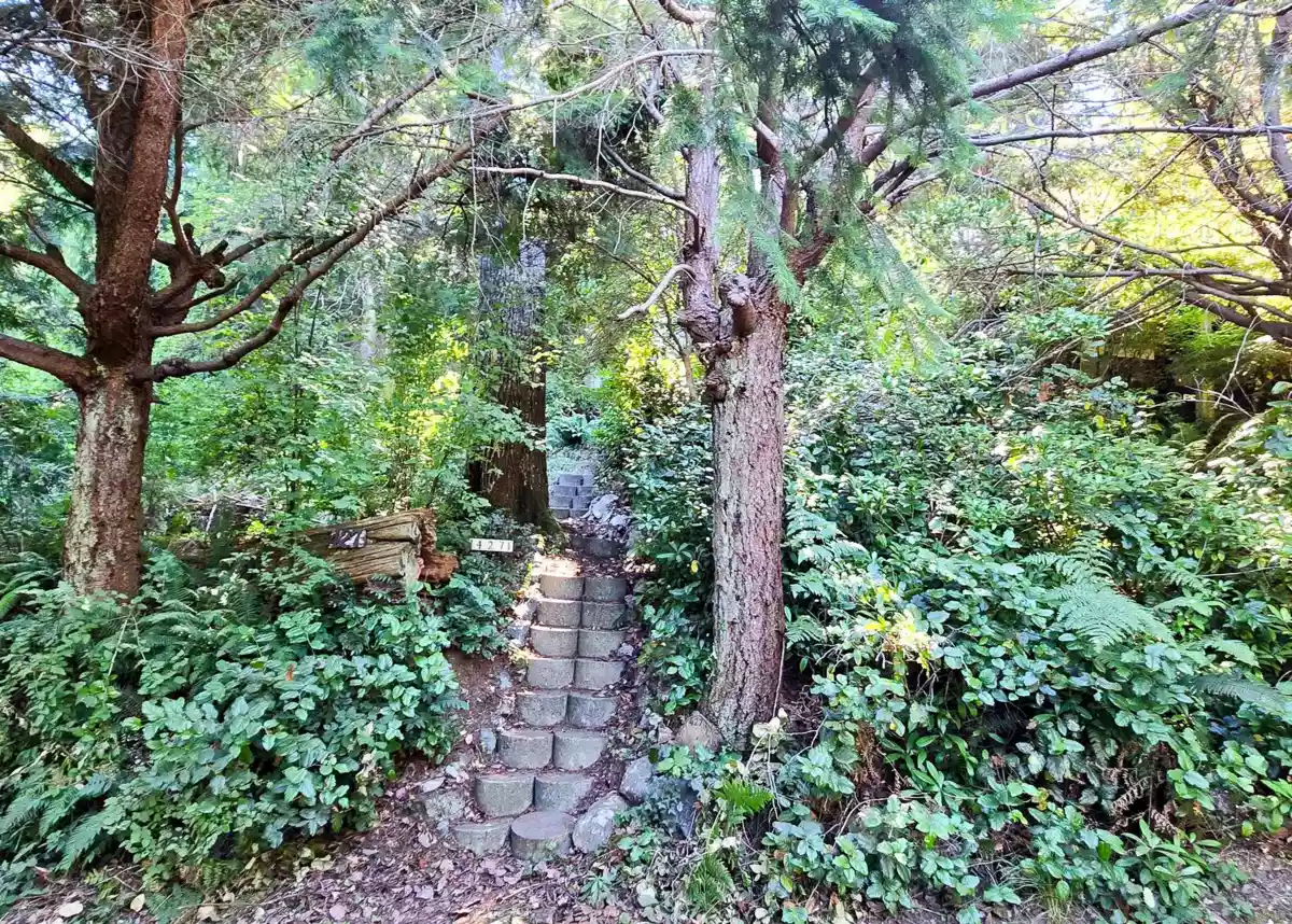 Front Yard Photo of 427 Collingwood Road, Keats Island, BC