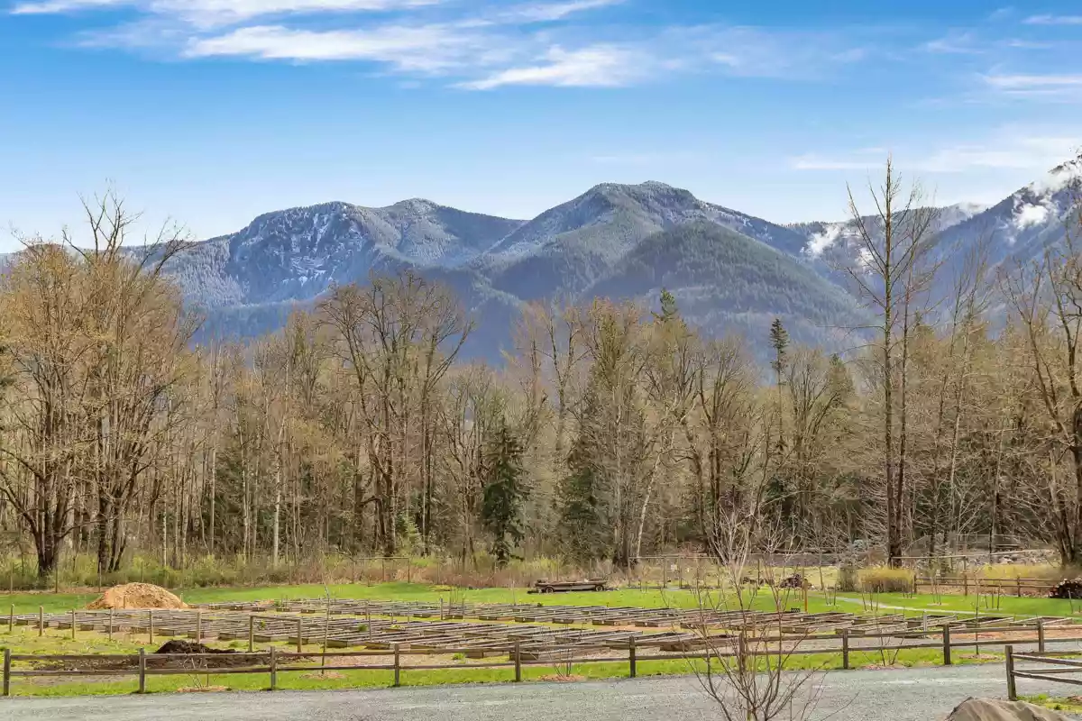 Backyard Photo of 43360 Creekside Circle, Cultus Lake, BC