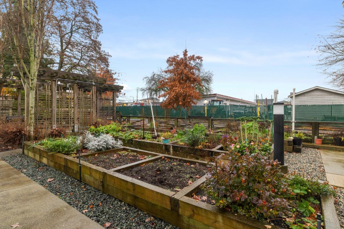 Outdoor Deck Photo of 5837 Wales Street, Vancouver, BC
