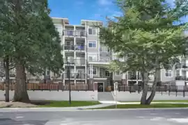 305 20686 Eastleigh Crescent, Langley, BC