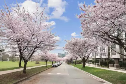 7623 Yukon Street, Vancouver, BC, Marpole — 4 bed townhouse for sale