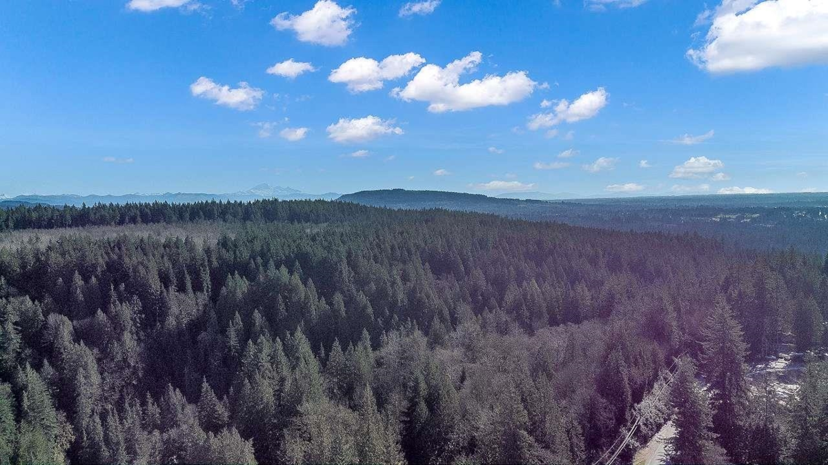 Bedroom 2 Photo of 23369 141 Avenue, Maple Ridge, BC