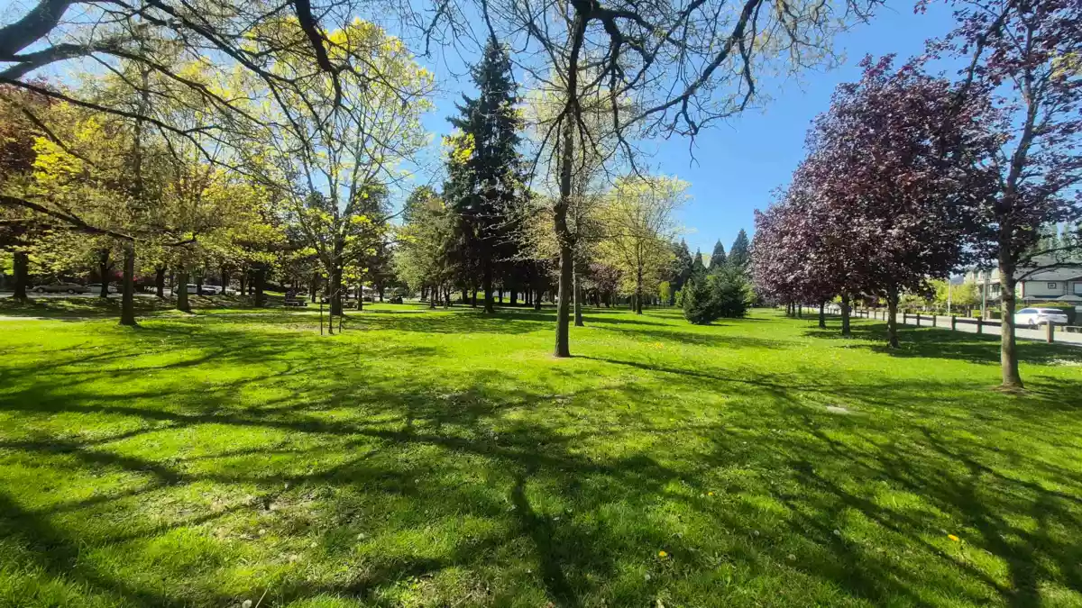 Bedroom 2 Photo of 1 9131 Williams Road, Richmond, BC