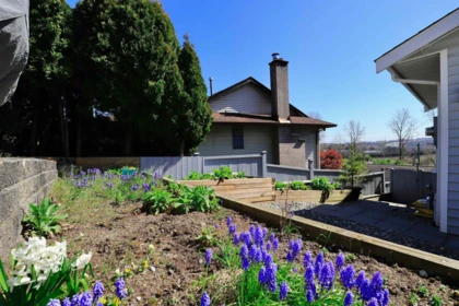 Neighborhood Park Photo Near 93 Warrick Street, Coquitlam, BC