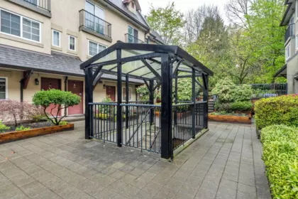 Backyard Photo of 74 1561 Booth Avenue, Coquitlam, BC