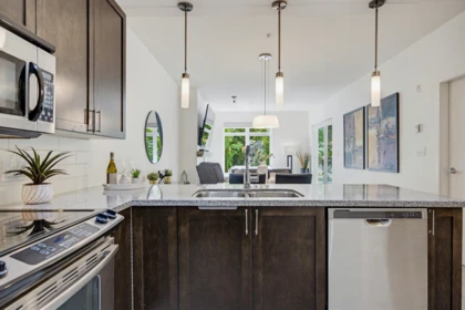 Pantry Photo of 219 2368 Marpole Avenue, Port Coquitlam, BC
