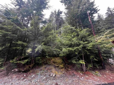 14963 Parkwood Street, Sunshine Valley, BC, Sunshine Valley — Land for sale
