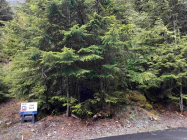 14963 Parkwood Street, Sunshine Valley, BC, Sunshine Valley — Land for sale