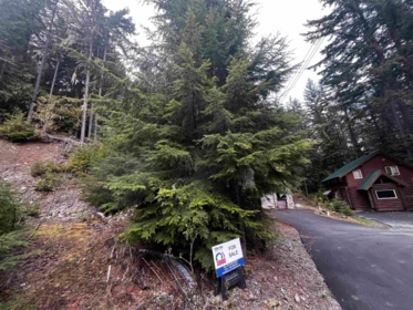 14963 Parkwood Street, Sunshine Valley, BC, Sunshine Valley — Land for sale