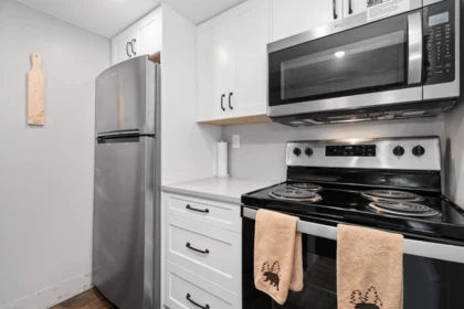 Kitchen Photo of 309B 21000 Enzian Way, Agassiz, BC