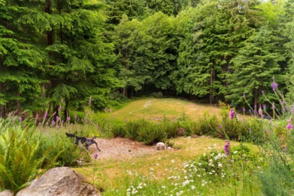Garden / Landscaping Photo of 740 Minnows Lane, Bowen Island, BC