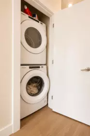 Walk-In Closet Photo of 101 6960 Nicholson Road, Delta, BC