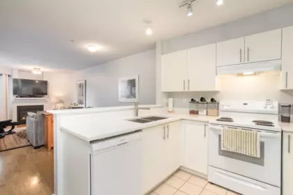 313 147 E 1st Street, North Vancouver, BC, North Vancouver — Apartment/Condo for sale