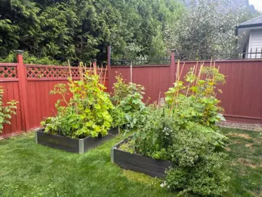 Garden / Landscaping Photo of 57 20118 Beacon Road, Hope, BC