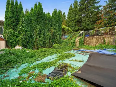 Outdoor Patio Photo of 8247 10th Avenue, Burnaby, BC