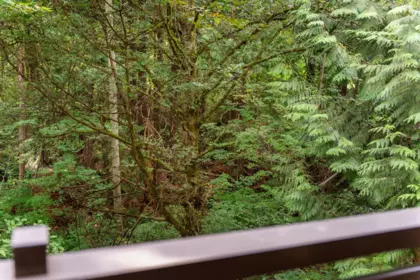 Kitchen Photo of 205 3294 Mt Seymour Parkway, North Vancouver, BC