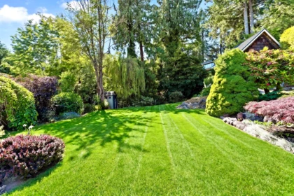 Street View Photo of 445 N Oxley Street, West Vancouver, BC