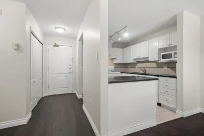 214 2559 Parkview Lane, Port Coquitlam, BC, Port coquitlam — Apartment/Condo for sale