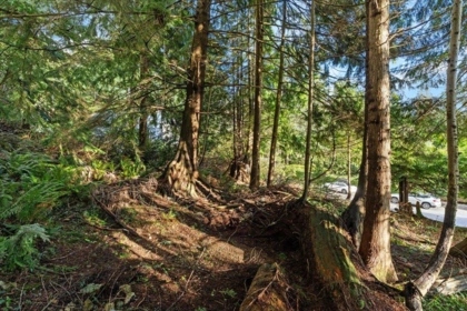 Primary Bedroom Photo of 478 Craigmohr Drive, West Vancouver, BC