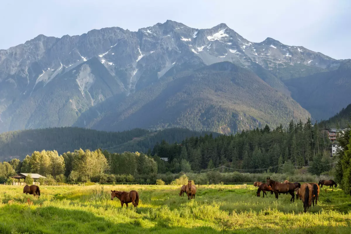 Playground / Recreational Area Near 1360 Collins Road, Pemberton, BC
