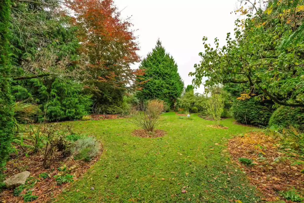 Outdoor Kitchen Photo of 1320 Kent Street, White Rock, BC