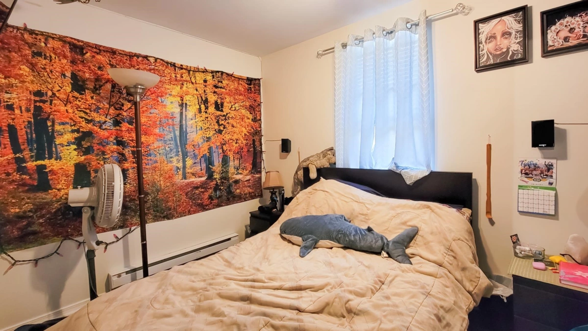 Walk-In Closet Photo of 32731 Adams Avenue, Mission, BC