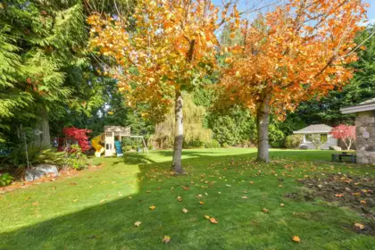 Neighborhood Park Photo Near 1944 133b Street, Surrey, BC