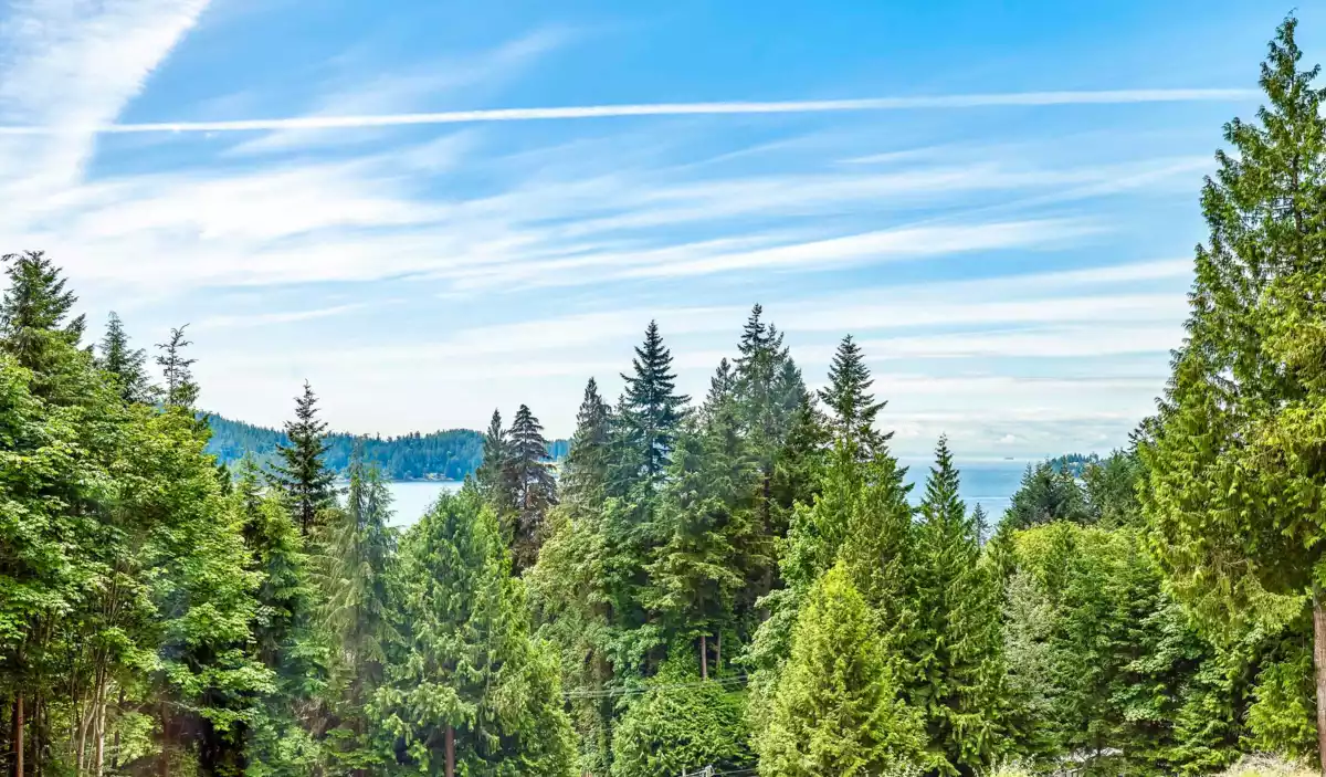 Guest Bathroom Photo of 971 Marine Drive, Gibsons, BC