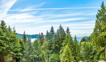 Guest Bathroom Photo of 971 Marine Drive, Gibsons, BC