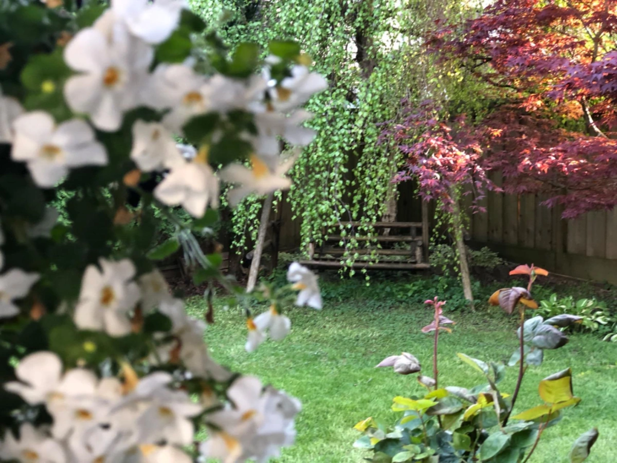 Laundry Room Photo of 11311 Caravel Court, Richmond, BC