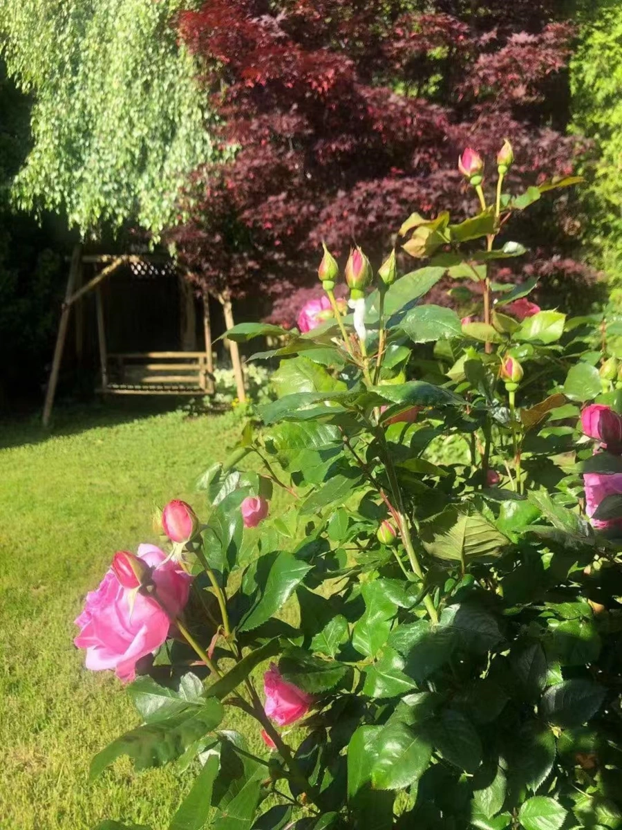 Powder Room Photo of 11311 Caravel Court, Richmond, BC