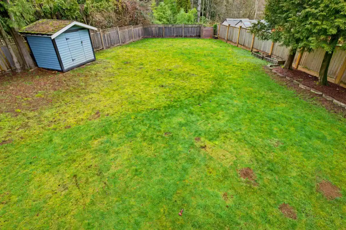 Swimming Pool Photo of 9490 206a Street, Langley, BC