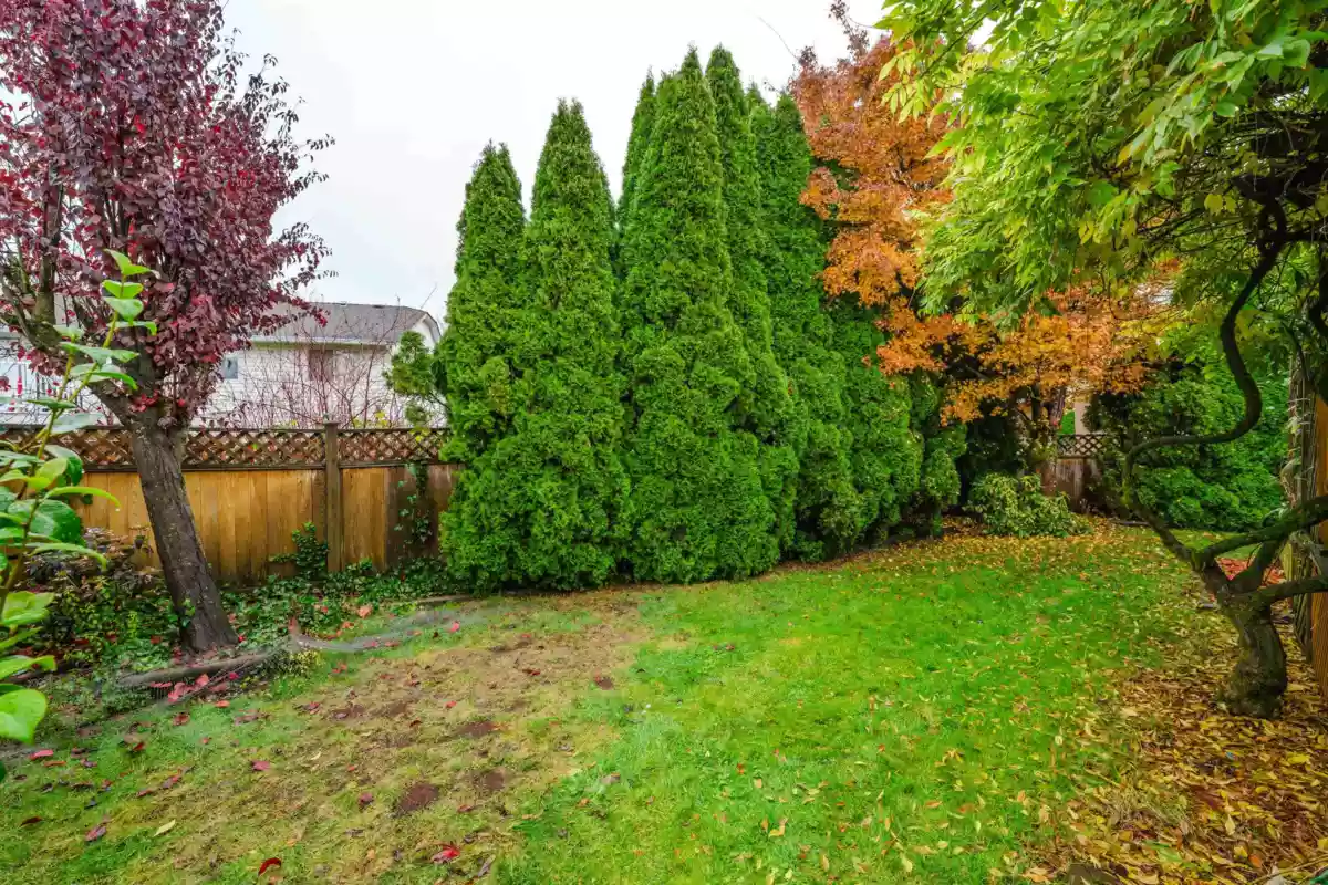 Aerial View of 21447 88b Avenue, Langley, BC