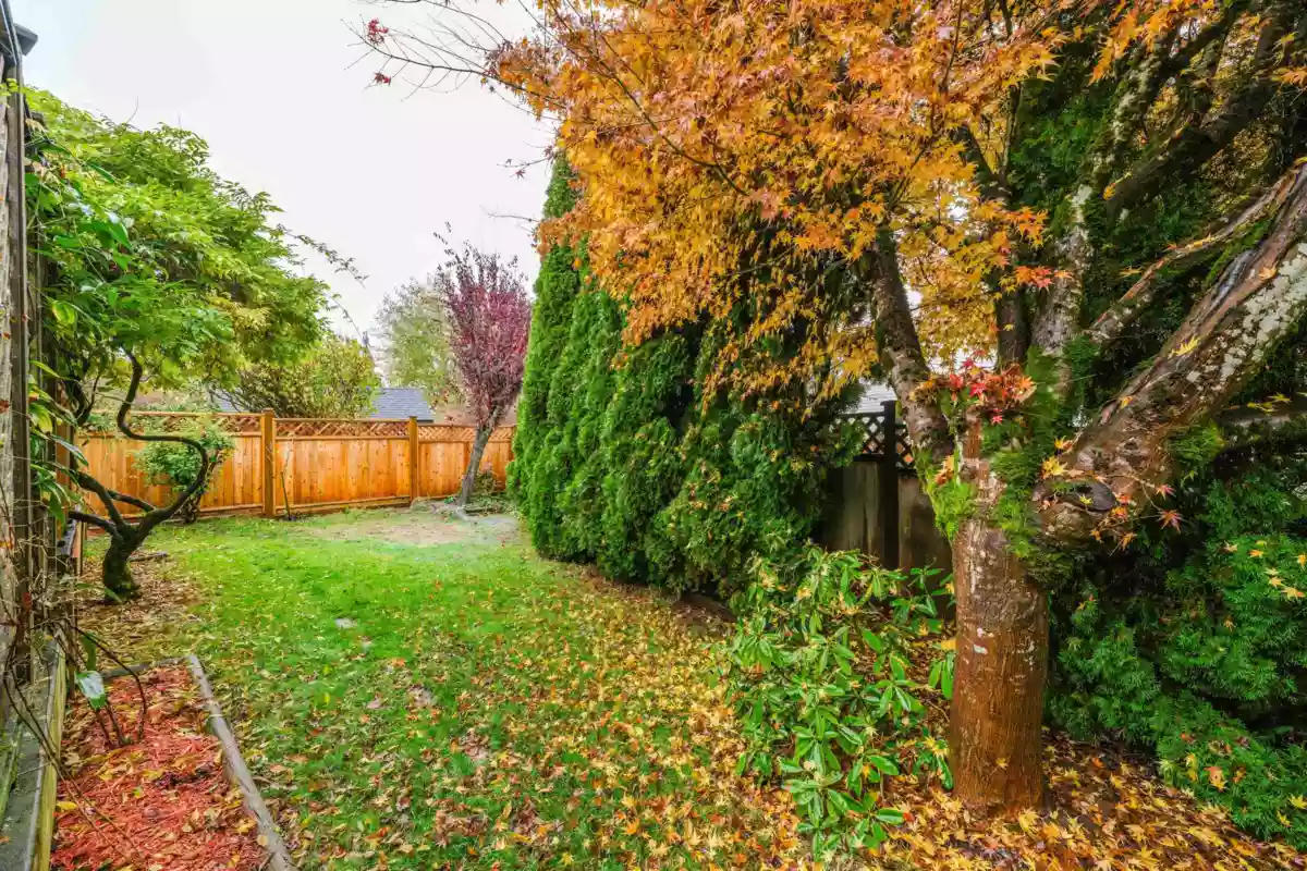 Outdoor Kitchen Photo of 21447 88b Avenue, Langley, BC