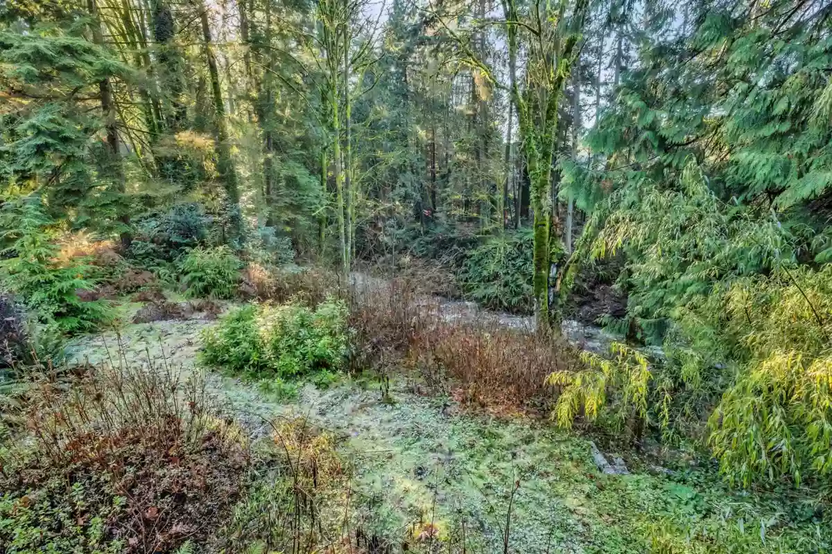 Hallway Photo of 430 Macbeth Crescent, West Vancouver, BC