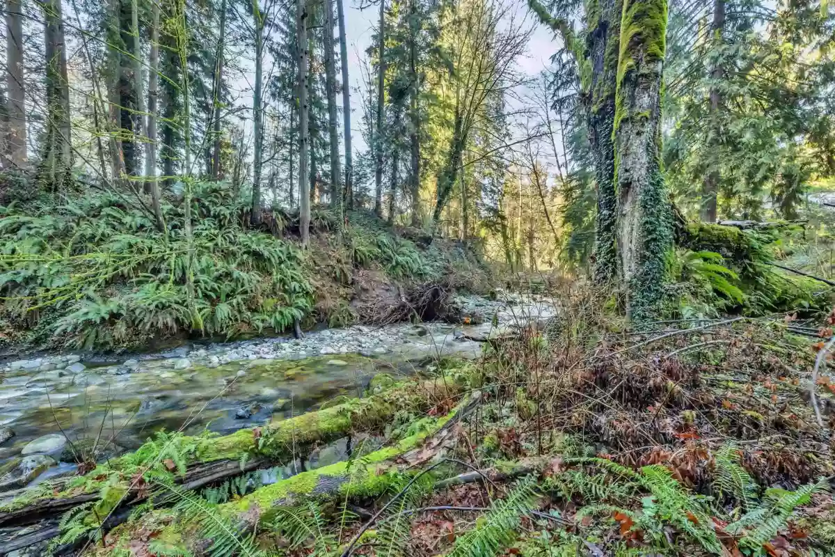Outdoor Deck Photo of 430 Macbeth Crescent, West Vancouver, BC